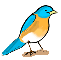 Bluebird