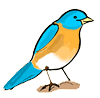 Blue Bird