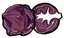 Red Cabbage