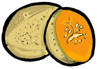 Cantaloupe