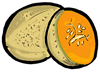 Cantaloupe