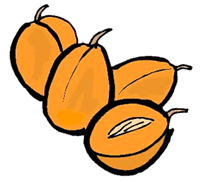 Apricots