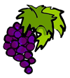 Grapes Clip Art