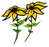 Gloriosa Daisies Clipart