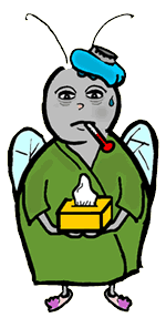Flu Bug