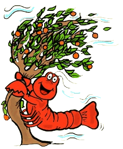 Lobster Holding Orange Tree on Windy Day