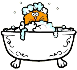 Cat Bubble Bath