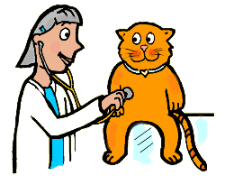 Vet Checking Cat