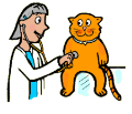 Vet Checking Cat