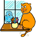 Blue Bird Taunting Cat