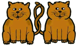 Gemini Cats