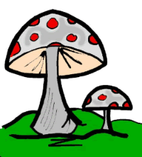 Mushroom