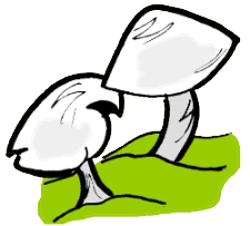 Mushrooms