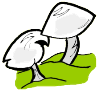 Mushrooms