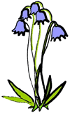 Bluebells Clipart