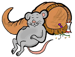 Full Mouse Sleeping on Cornucopia