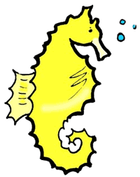 Seahorse