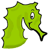 Seahorse