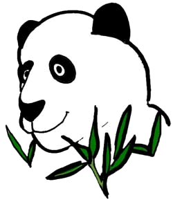 Panda Bear