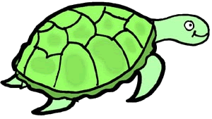 Turtle