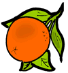 Tangerine / Orange