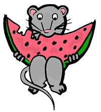 Mouse Watermelon
