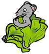 Mouse Eating Lettuce