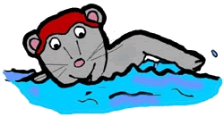 Swimming Mouse