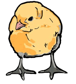 Baby Chick