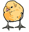 Baby Chick