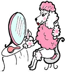 Pink Poodle Primping in Mirror
