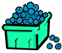 Blueberries 