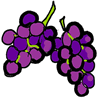 Grapes on Vine Clip Art