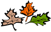 Autumn Leaves Clipart