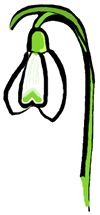 Snowdrop