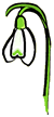 Snowdrop