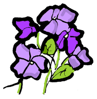 Violets