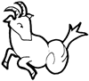 Capricorn