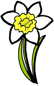 Jonquil