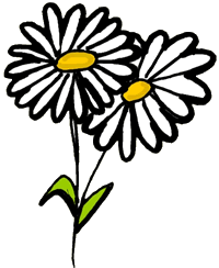 Daisies