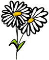 Daisies