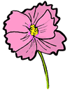 Cosmos