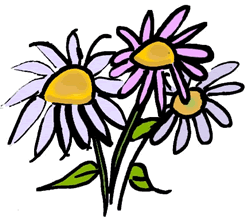 Asters