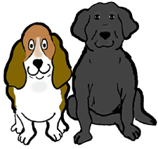 Basset Hound & Black Labrador 