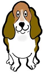 Basset Hound Dog