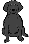 Black Labrador Dog Sitting Clipart
