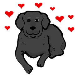 Laying Black Labrador Dog Surrounded by Hearts