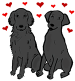 Black Labrador & Flat-Coated Retriever Dogs Sitting with Hearts Clipart