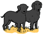 Black Labrador & Flat-Coated Retriever Dogs Standing Clipart