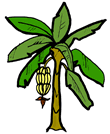 Banana Tree Clipart